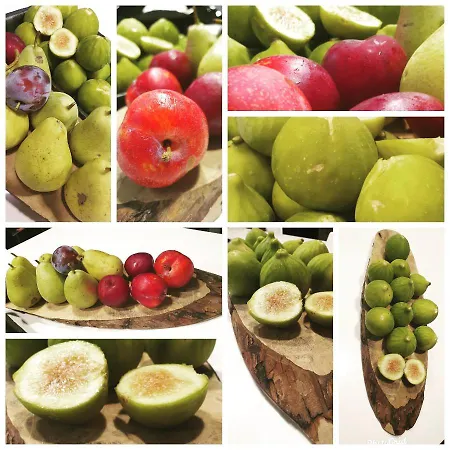 Bed & Breakfast Bed Nonnonino