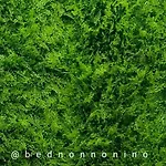 Bed Nonnonino Panzió Porto Cesareo