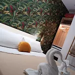 Panzió Bed Nonnonino 4*